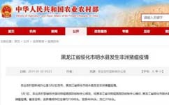 黑龙江省绥化市明水县发生非洲猪瘟疫情 发病4685头，死亡3766头