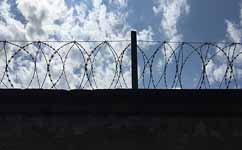 国家监委发布“最后通牒”后，4个月165名外逃人员投案自首