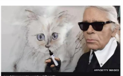 “老佛爷”巨额遗产由猫继承？